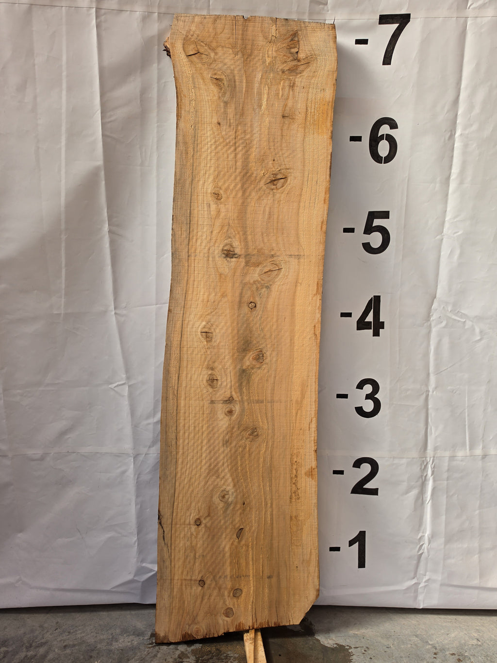 Back side of bald cypress live edge slab CYP-26-01-01
