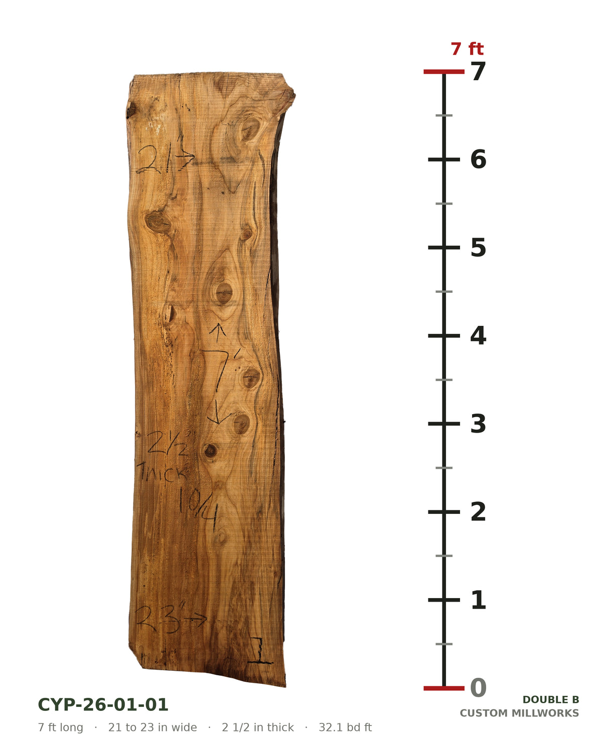 Bald cypress live edge slab CYP-26-01-01 next to a length ruler, 7 ft long, 21 to 23 in wide, 2 1/2 in thick, 32.1 board feet