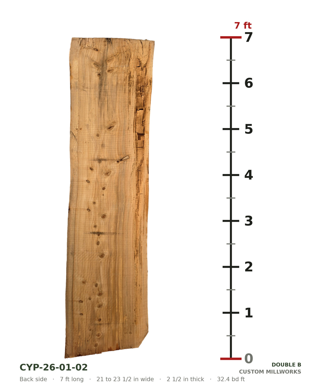Back side of bald cypress live edge slab CYP-26-01-02 next to a length ruler, 7 ft long, 21 to 23 1/2 in wide, 2 1/2 in thick, 32.4 board feet