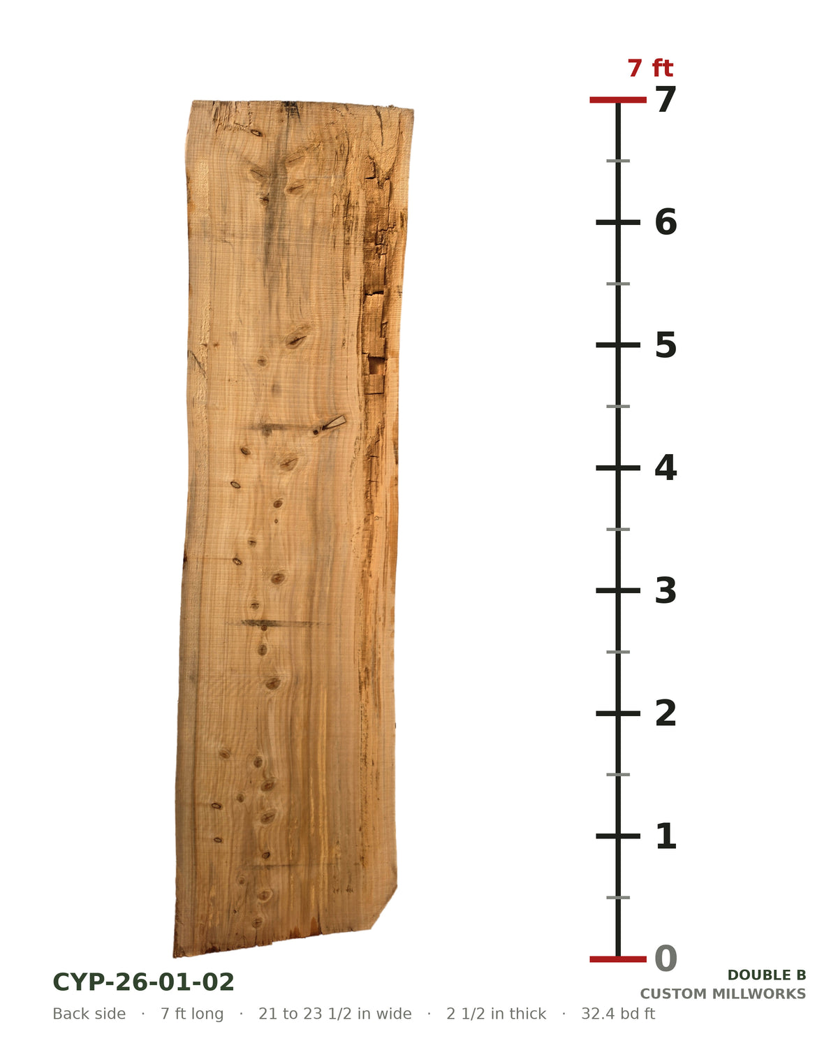 Back side of bald cypress live edge slab CYP-26-01-02 next to a length ruler, 7 ft long, 21 to 23 1/2 in wide, 2 1/2 in thick, 32.4 board feet