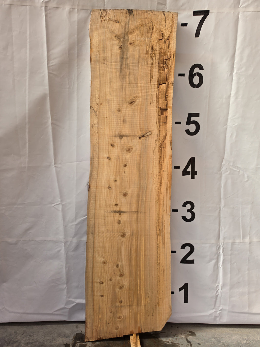 Back side of bald cypress live edge slab CYP-26-01-02
