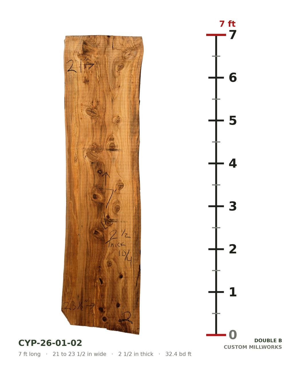 Bald cypress live edge slab CYP-26-01-02 next to a length ruler, 7 ft long, 21 to 23 1/2 in wide, 2 1/2 in thick, 32.4 board feet