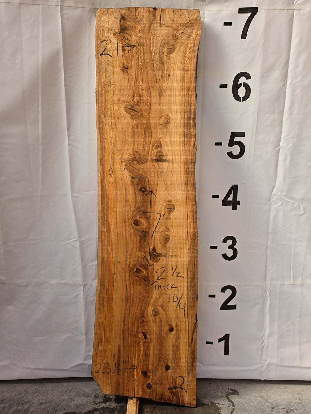 Bald cypress live edge slab CYP-26-01-02, 7 ft long, 21 to 23 1/2 in wide, 2 1/2 in thick, 32.4 board feet