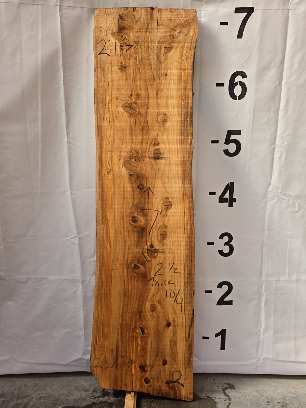 Bald cypress live edge slab CYP-26-01-02, 7 ft long, 21 to 23 1/2 in wide, 2 1/2 in thick, 32.4 board feet