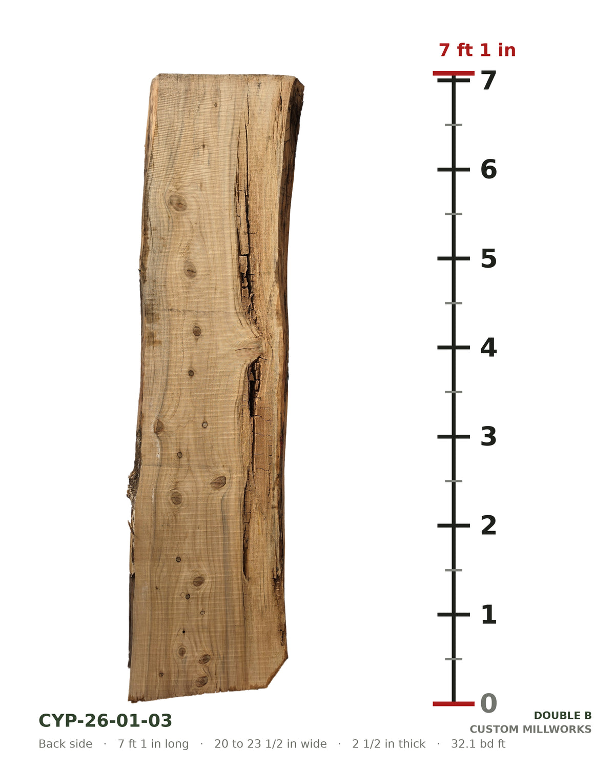 Back side of bald cypress live edge slab CYP-26-01-03 next to a length ruler, 7 ft 1 in long, 20 to 23 1/2 in wide, 2 1/2 in thick, 32.1 board feet