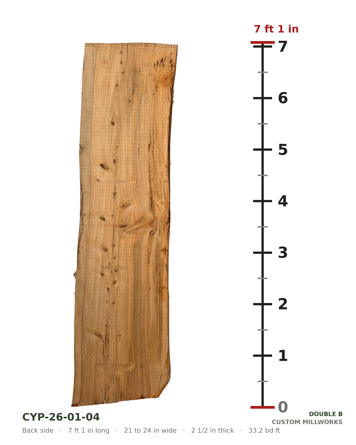 Back side of bald cypress live edge slab CYP-26-01-04 next to a length ruler, 7 ft 1 in long, 21 to 24 in wide, 2 1/2 in thick, 33.2 board feet