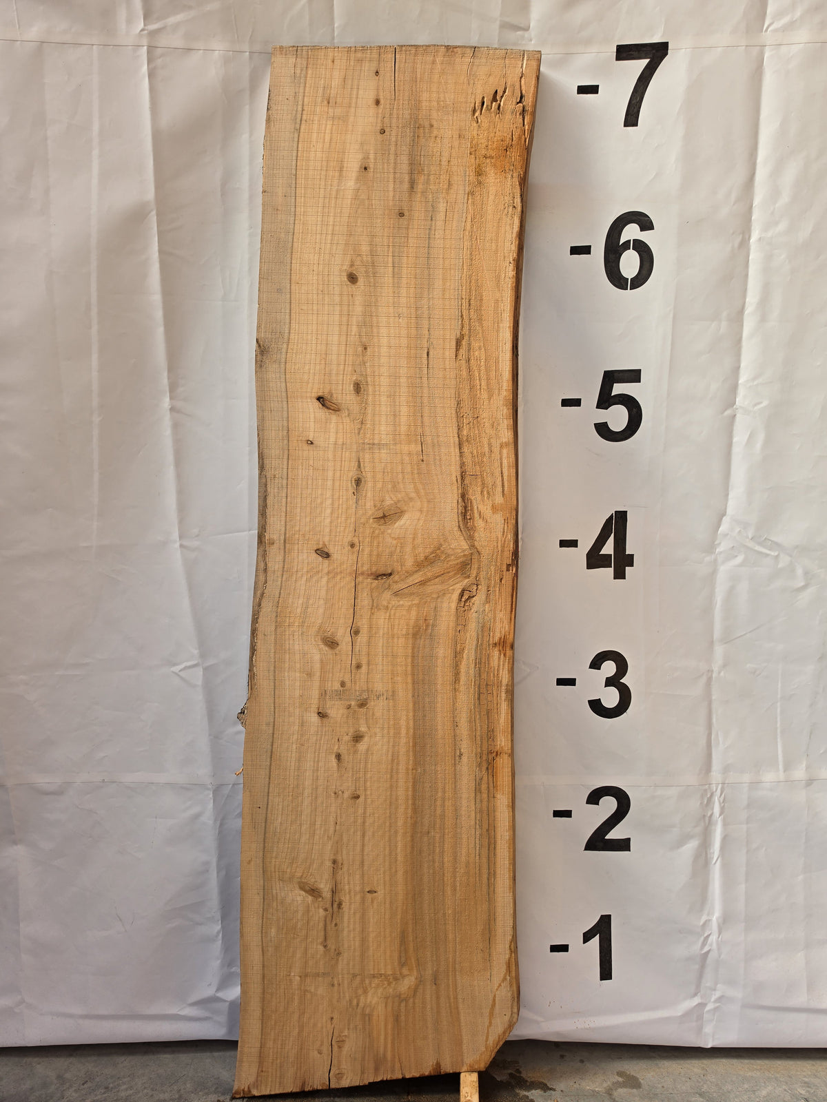 Back side of bald cypress live edge slab CYP-26-01-04