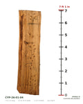 Bald cypress live edge slab CYP-26-01-04 next to a length ruler, 7 ft 1 in long, 21 to 24 in wide, 2 1/2 in thick, 33.2 board feet