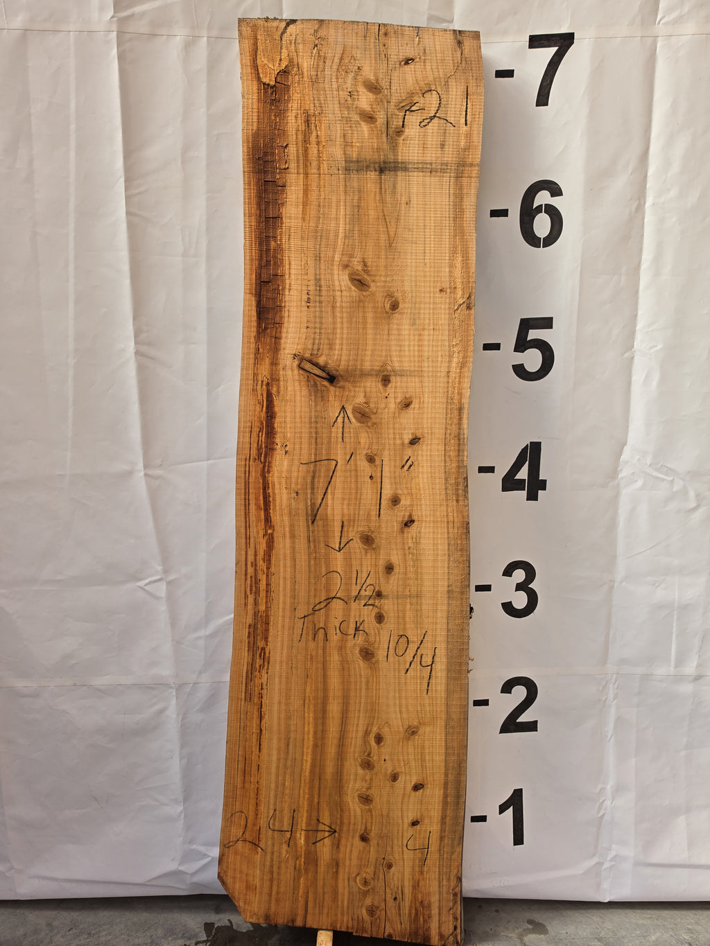 Bald cypress live edge slab CYP-26-01-04, 7 ft 1 in long, 21 to 24 in wide, 2 1/2 in thick, 33.2 board feet