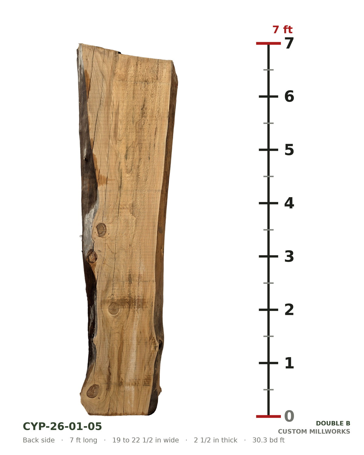 Back side of bald cypress live edge slab CYP-26-01-05 next to a length ruler, 7 ft long, 19 to 22 1/2 in wide, 2 1/2 in thick, 30.3 board feet