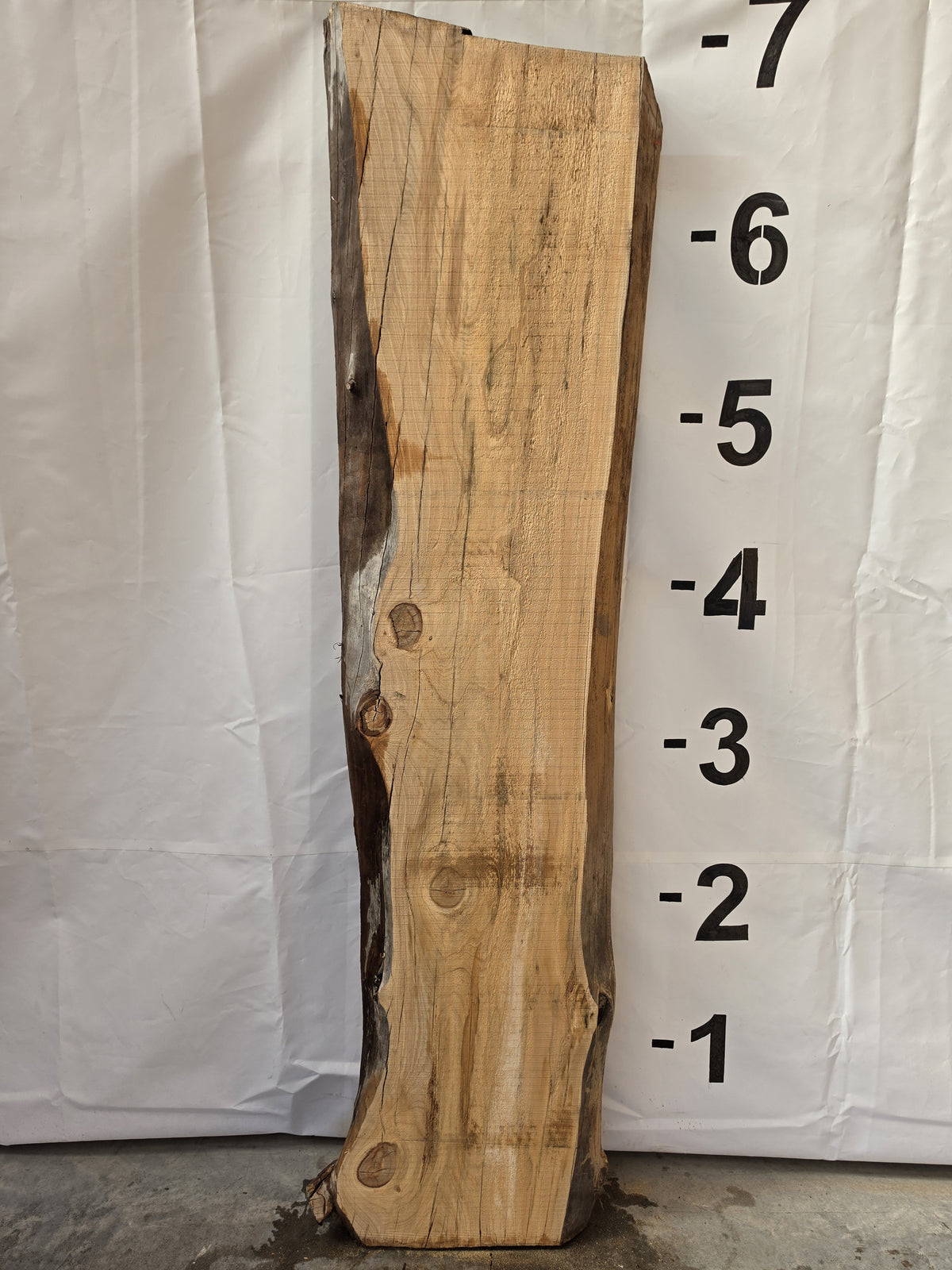 Back side of bald cypress live edge slab CYP-26-01-05