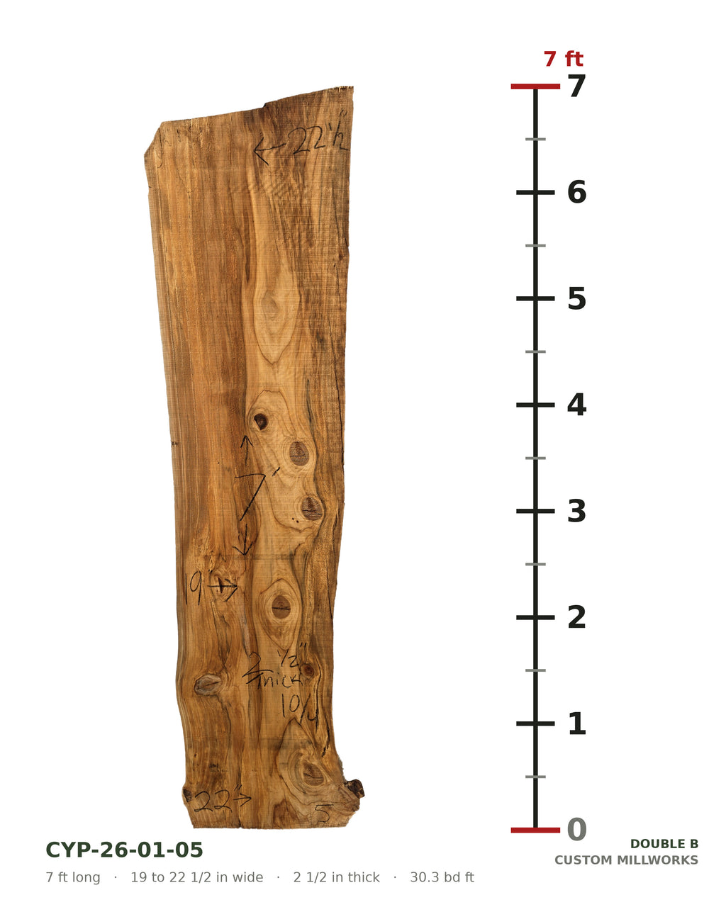 Bald cypress live edge slab CYP-26-01-05 next to a length ruler, 7 ft long, 19 to 22 1/2 in wide, 2 1/2 in thick, 30.3 board feet