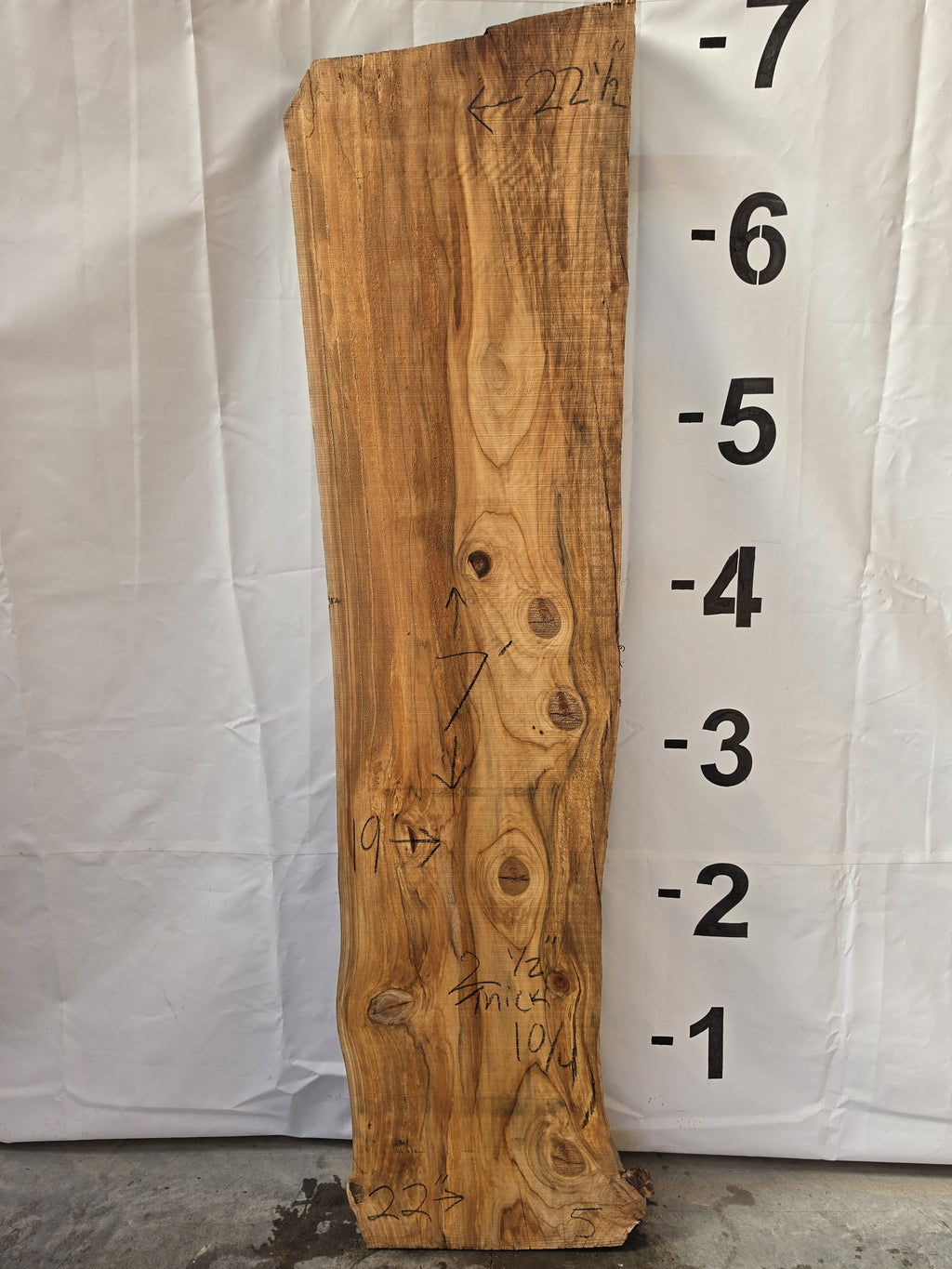 Bald cypress live edge slab CYP-26-01-05, 7 ft long, 19 to 22 1/2 in wide, 2 1/2 in thick, 30.3 board feet