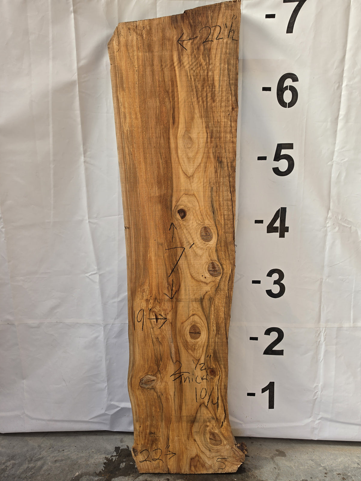 Bald cypress live edge slab CYP-26-01-05, 7 ft long, 19 to 22 1/2 in wide, 2 1/2 in thick, 30.3 board feet