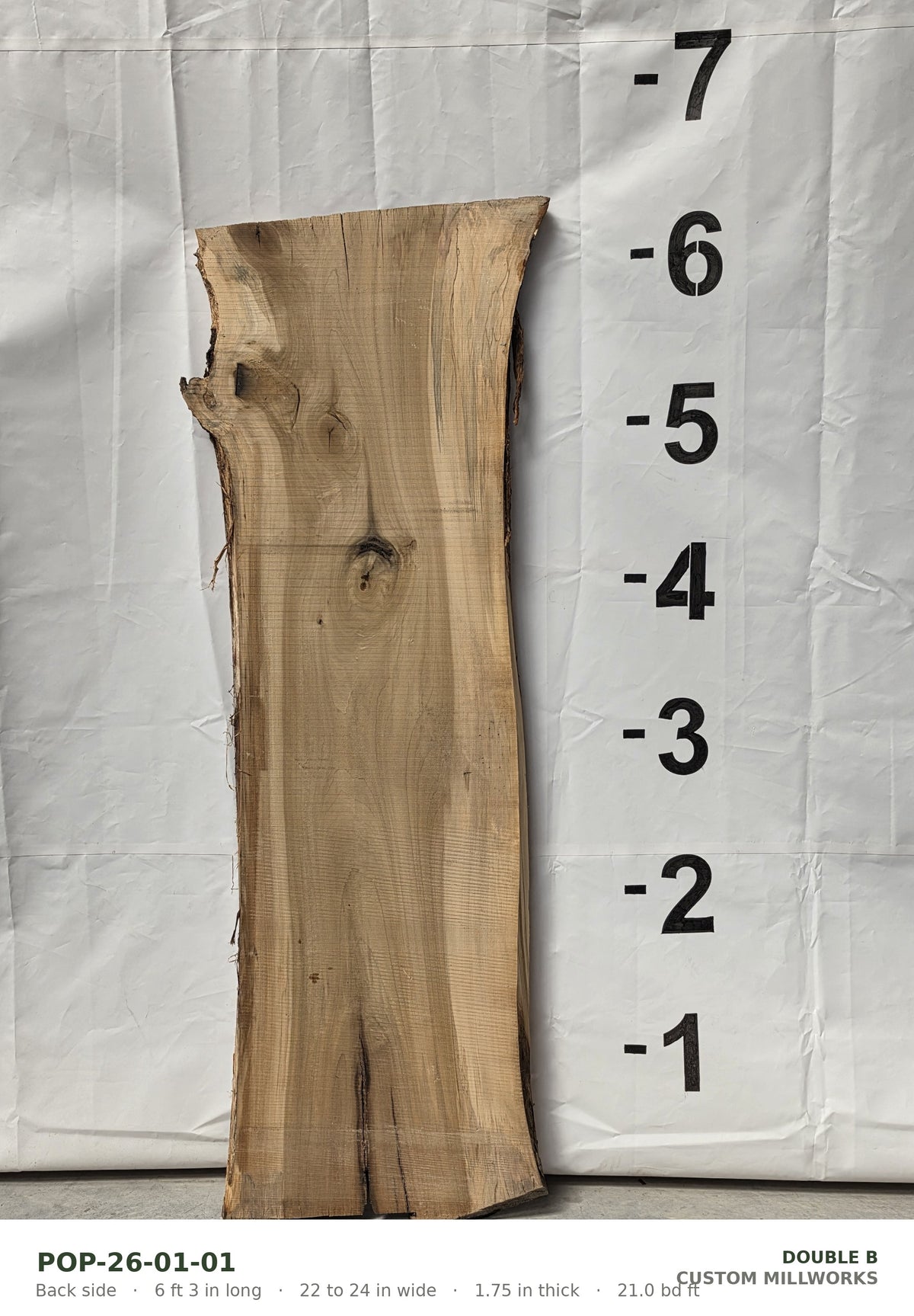 Back side of tulip poplar live edge slab POP-26-01-01