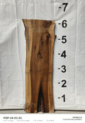 Tulip poplar live edge slab POP-26-01-01, 6 ft 3 in long, 22 to 24 in wide, 1 3/4 in thick, 21.0 board feet