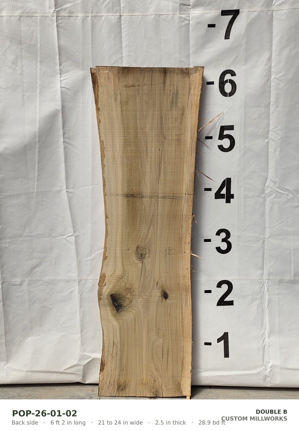 Back side of tulip poplar live edge slab POP-26-01-02