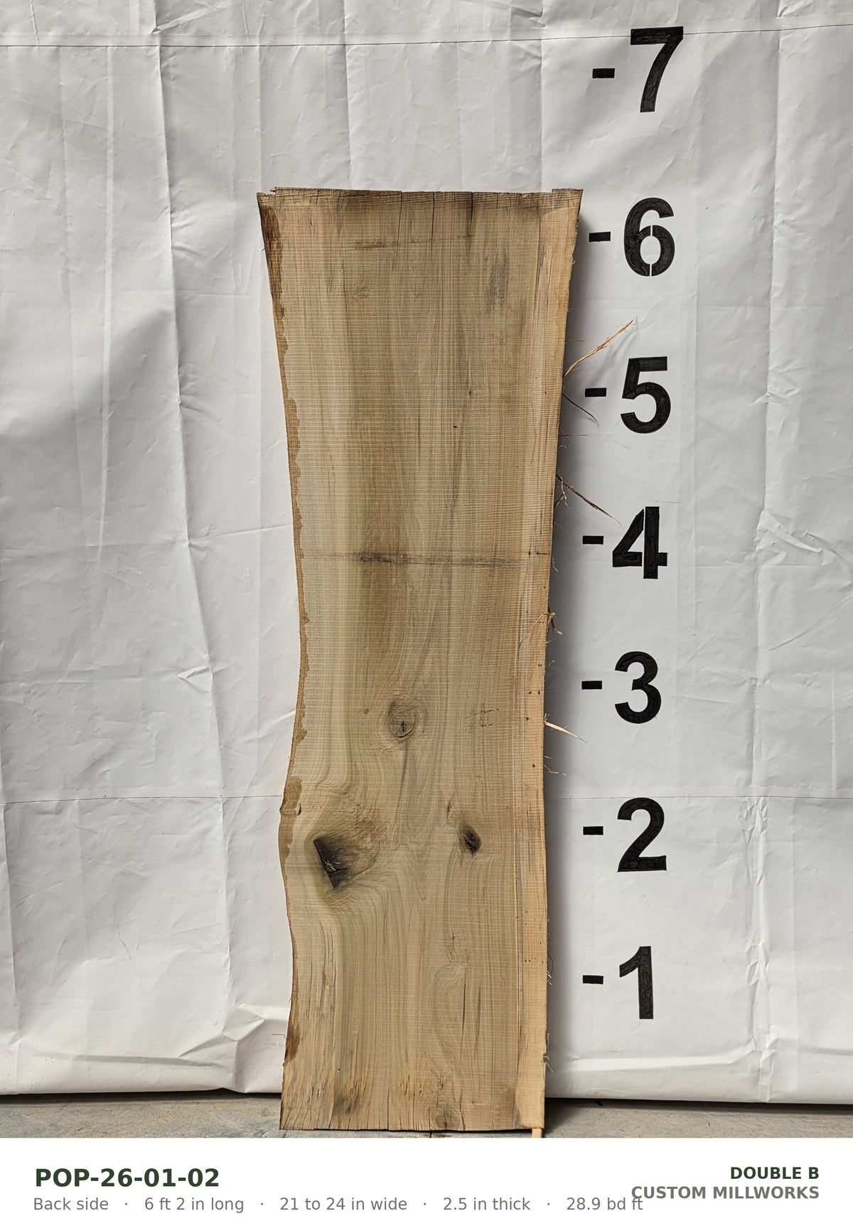 Back side of tulip poplar live edge slab POP-26-01-02