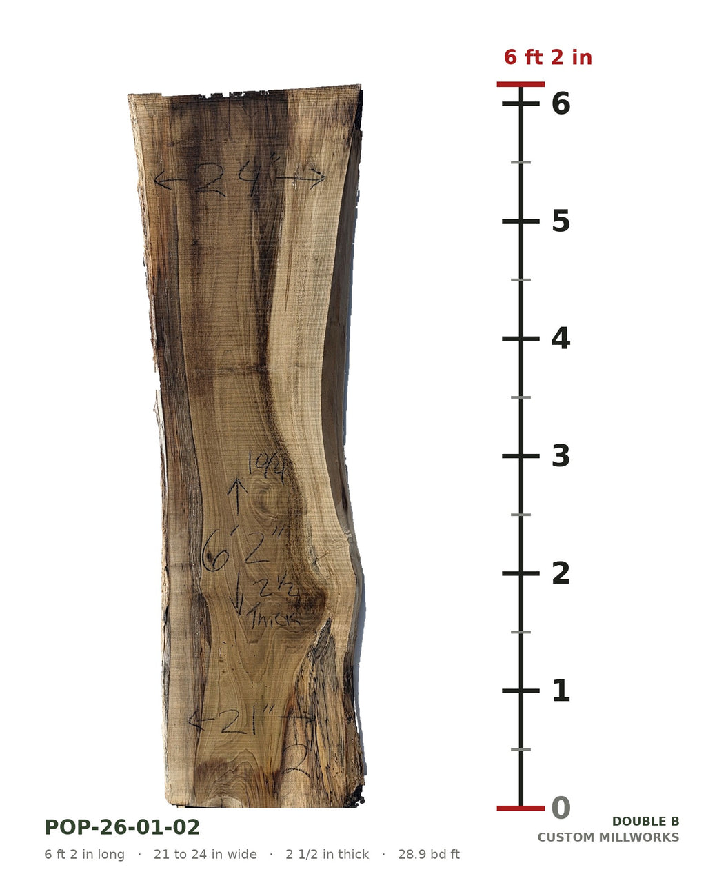 Tulip poplar live edge slab POP-26-01-02 next to a length ruler, 6 ft 2 in long, 21 to 24 in wide, 2 1/2 in thick, 28.9 board feet