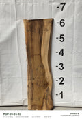 Tulip poplar live edge slab POP-26-01-02, 6 ft 2 in long, 21 to 24 in wide, 2 1/2 in thick, 28.9 board feet