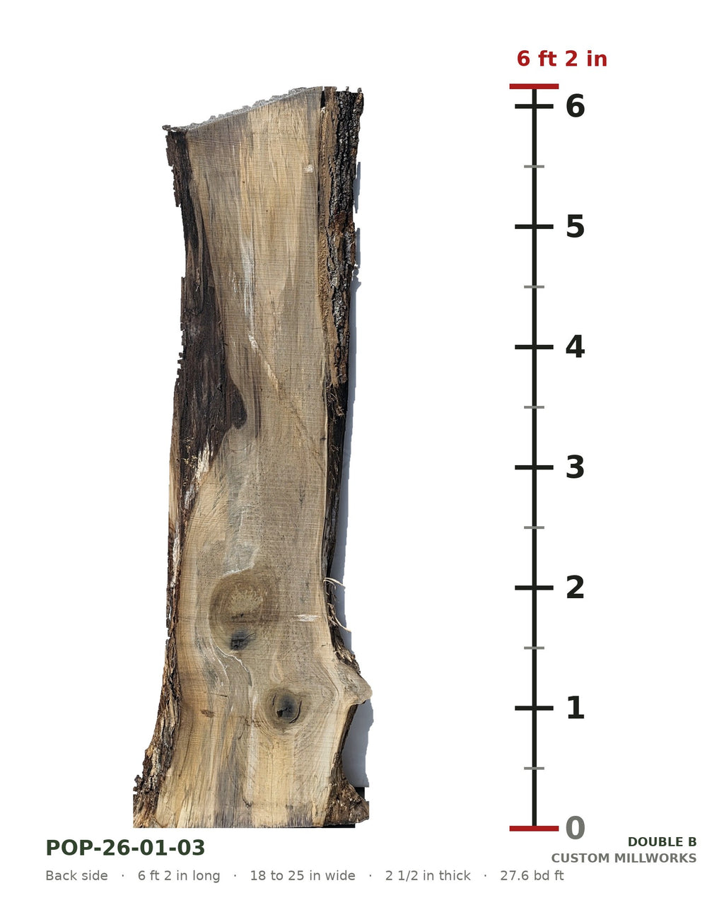 Back side of tulip poplar live edge slab POP-26-01-03 next to a length ruler