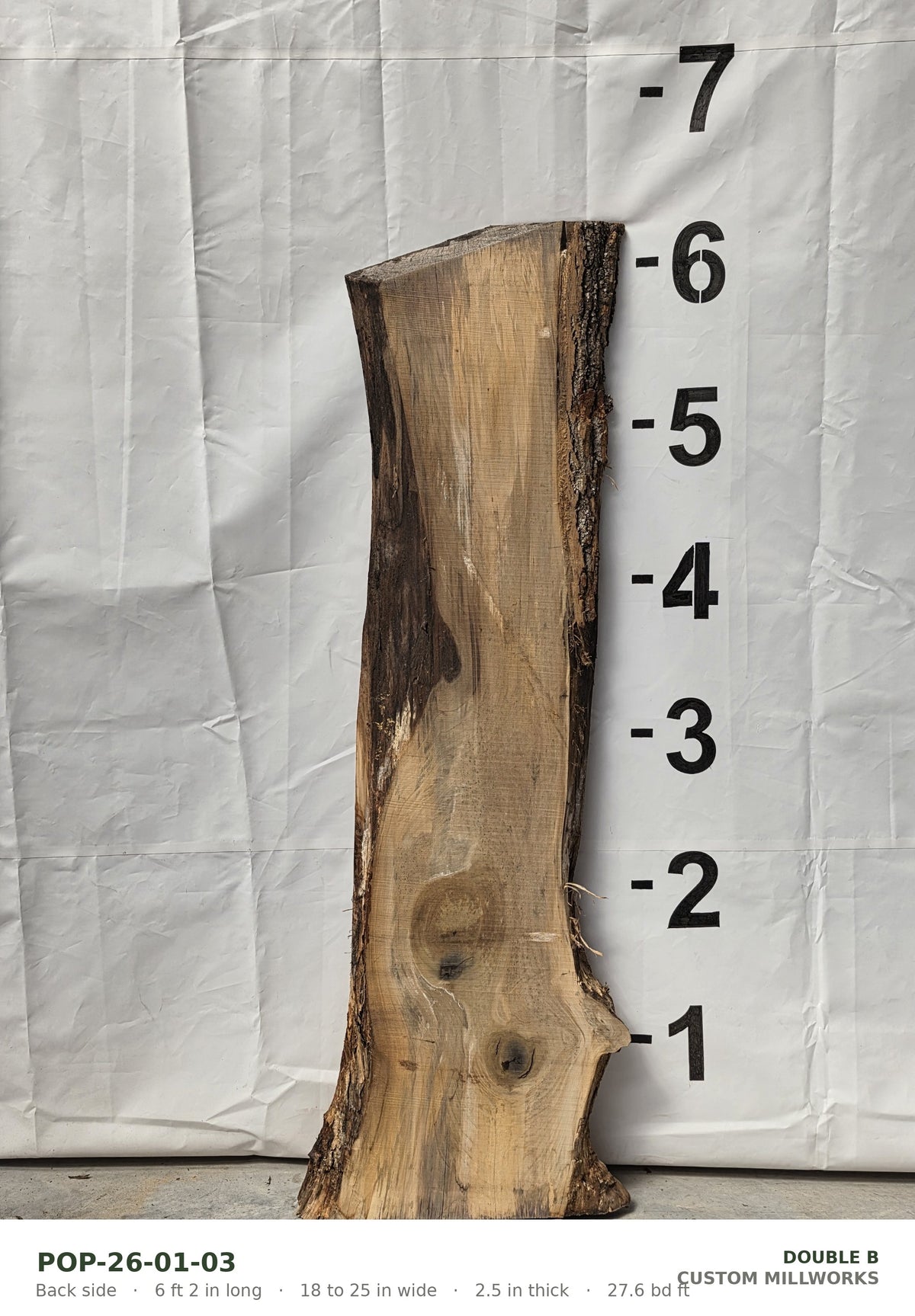 Back side of tulip poplar live edge slab POP-26-01-03