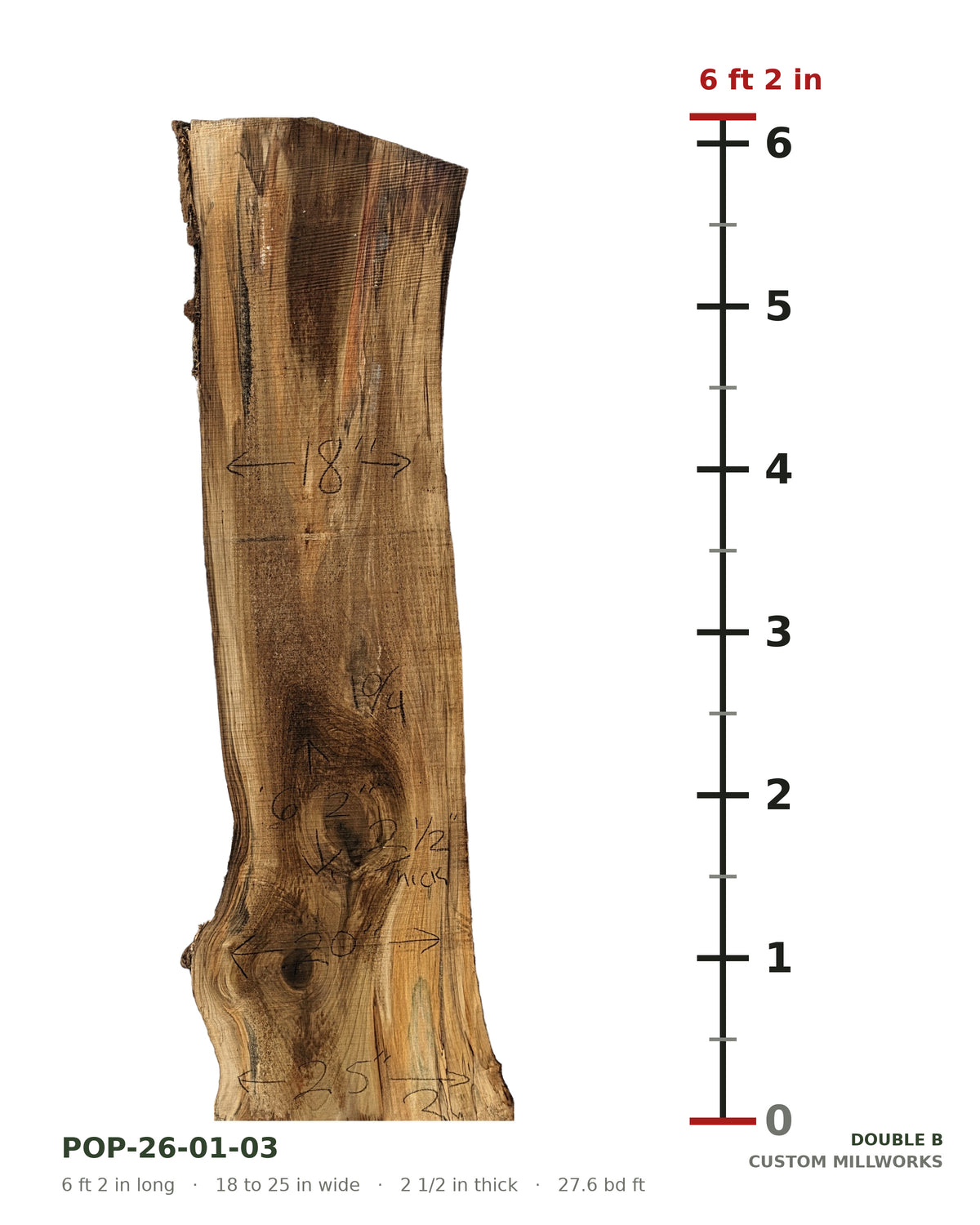 Tulip poplar live edge slab POP-26-01-03 next to a length ruler, 6 ft 2 in long, 18 to 25 in wide, 2 1/2 in thick, 27.6 board feet