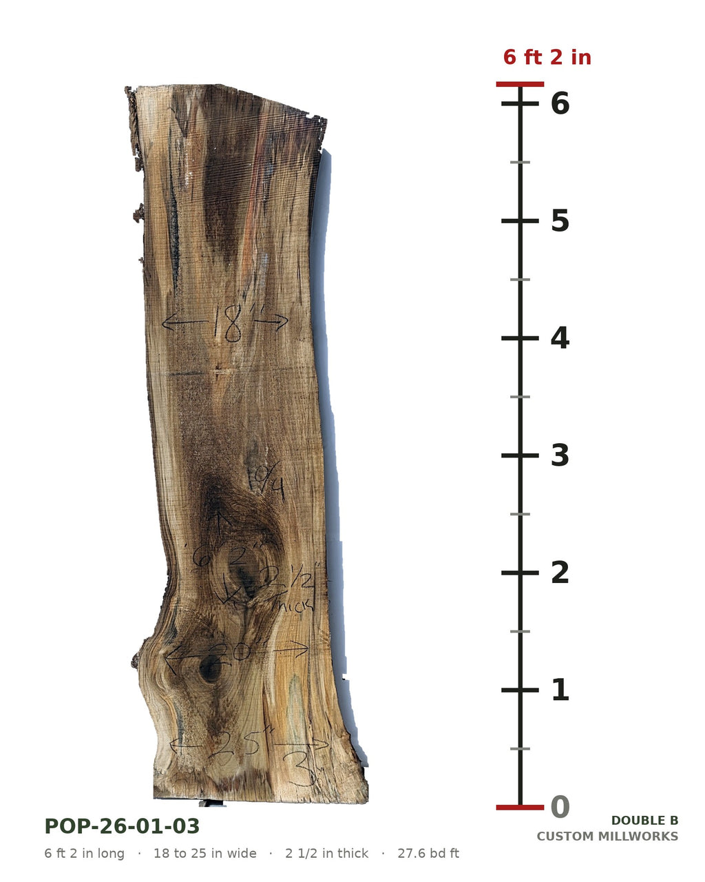 Tulip poplar live edge slab POP-26-01-03 next to a length ruler, 6 ft 2 in long, 18 to 25 in wide, 2 1/2 in thick, 27.6 board feet