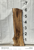 Tulip poplar live edge slab POP-26-01-03, 6 ft 2 in long, 18 to 25 in wide, 2 1/2 in thick, 27.6 board feet