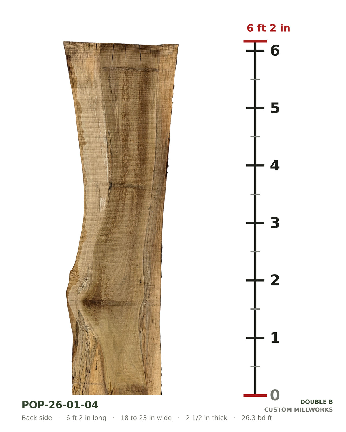 Back side of tulip poplar live edge slab POP-26-01-04 next to a length ruler, 6 ft 2 in long, 18 to 23 in wide, 2 1/2 in thick, 26.3 board feet