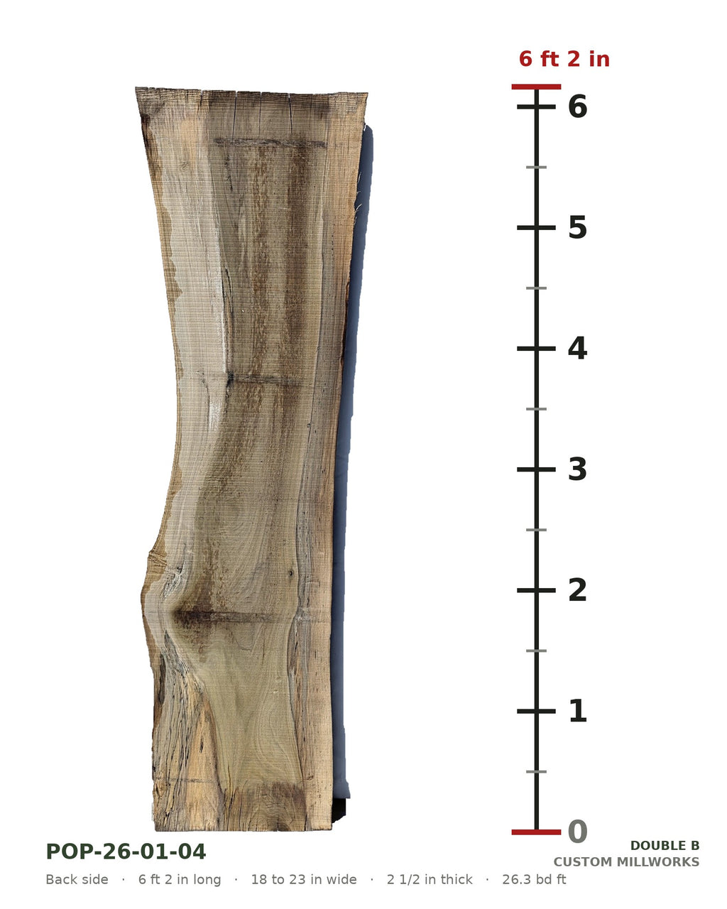 Back side of tulip poplar live edge slab POP-26-01-04 next to a length ruler