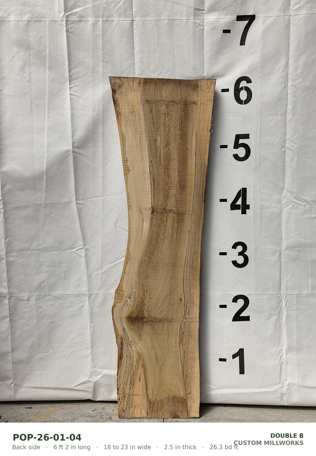 Back side of tulip poplar live edge slab POP-26-01-04