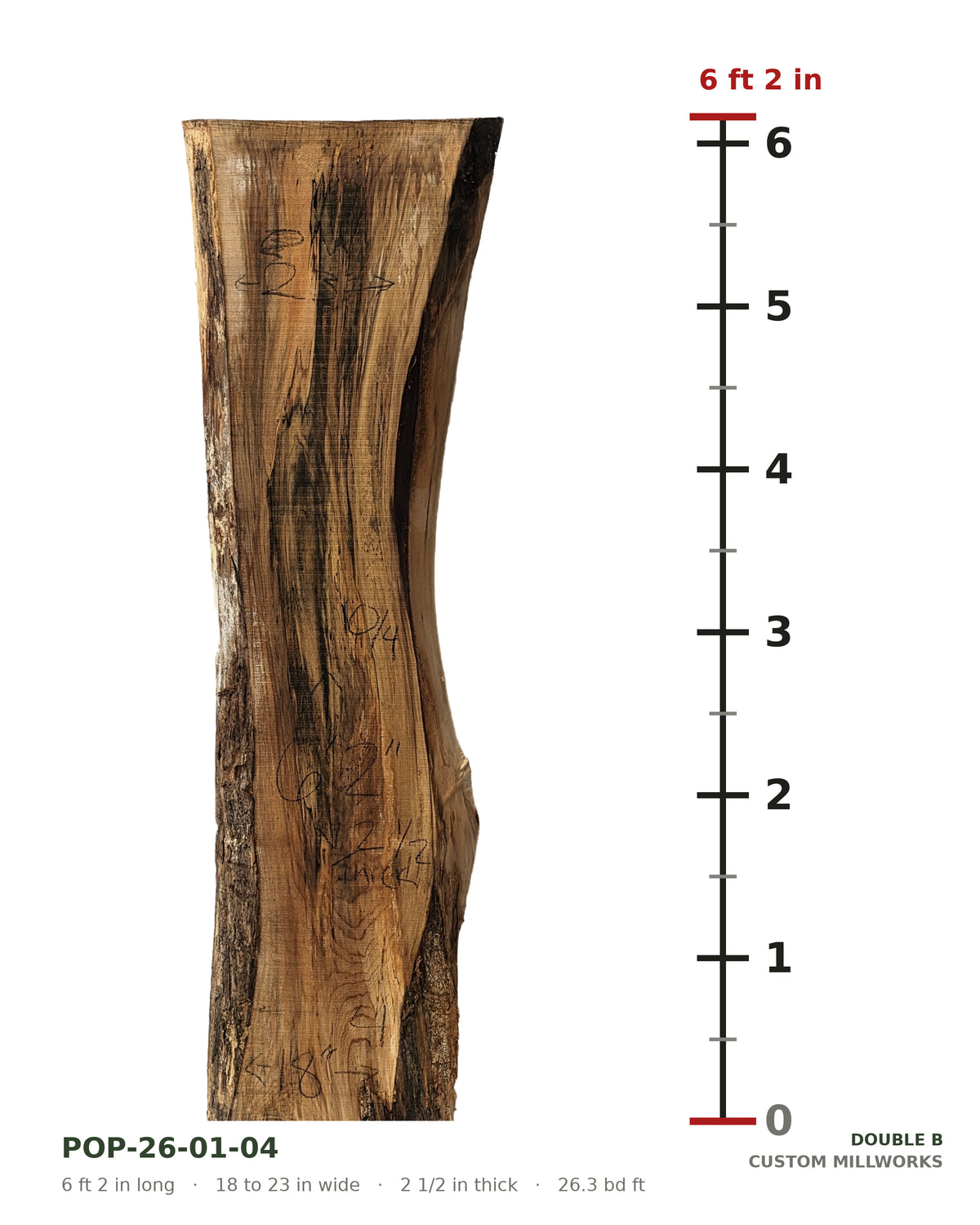 Tulip poplar live edge slab POP-26-01-04 next to a length ruler, 6 ft 2 in long, 18 to 23 in wide, 2 1/2 in thick, 26.3 board feet