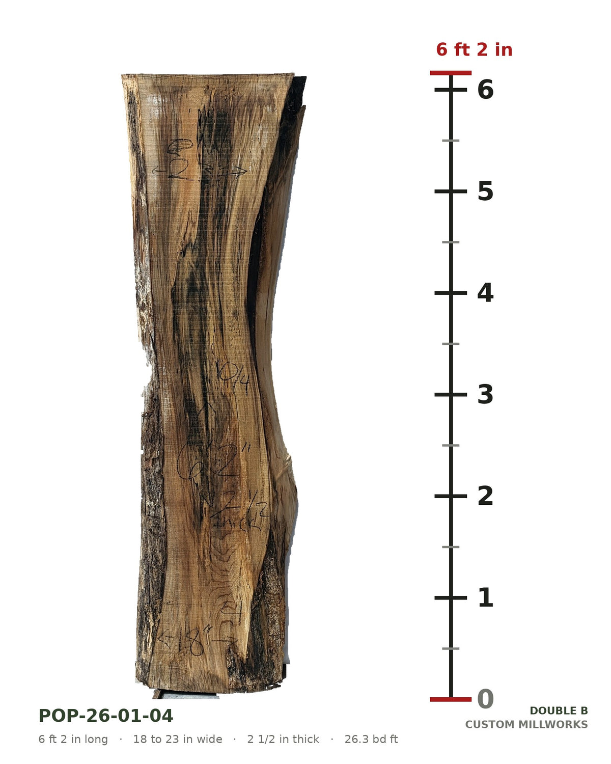 Tulip poplar live edge slab POP-26-01-04 next to a length ruler, 6 ft 2 in long, 18 to 23 in wide, 2 1/2 in thick, 26.3 board feet