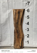 Tulip poplar live edge slab POP-26-01-04, 6 ft 2 in long, 18 to 23 in wide, 2 1/2 in thick, 26.3 board feet