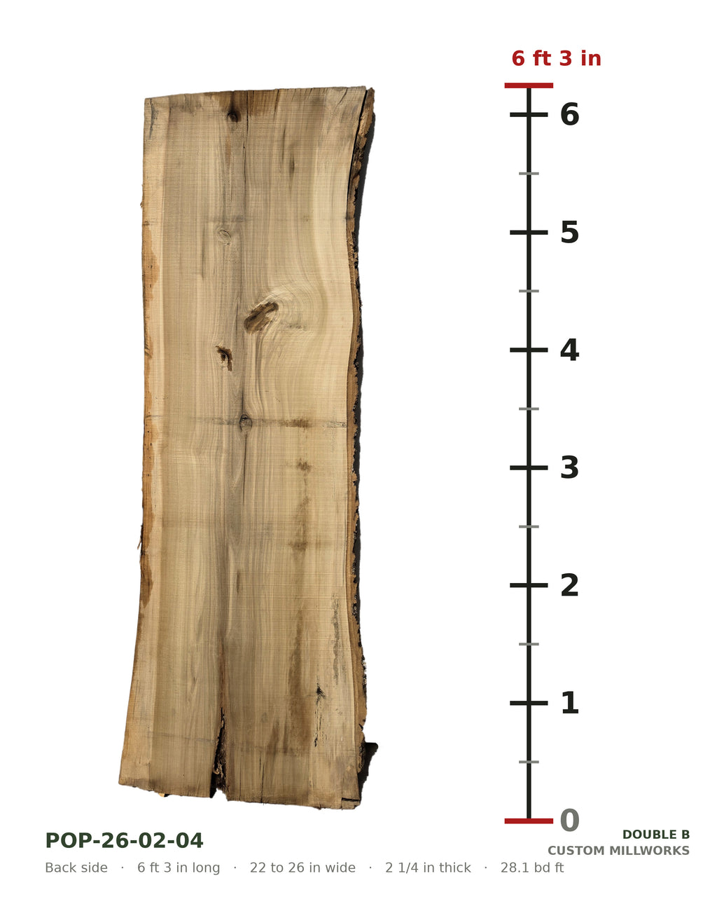 Back side of tulip poplar live edge slab POP-26-02-04 next to a length ruler, 6 ft 3 in long, 22 to 26 in wide, 2 1/4 in thick, 28.1 board feet