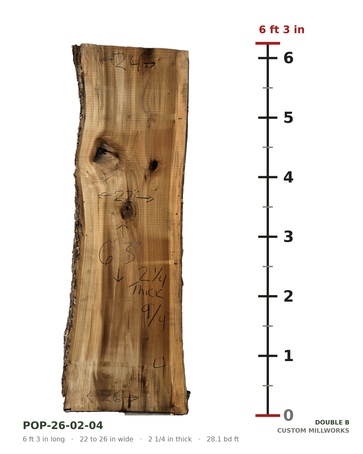 Tulip poplar live edge slab POP-26-02-04 next to a length ruler, 6 ft 3 in long, 22 to 26 in wide, 2 1/4 in thick, 28.1 board feet