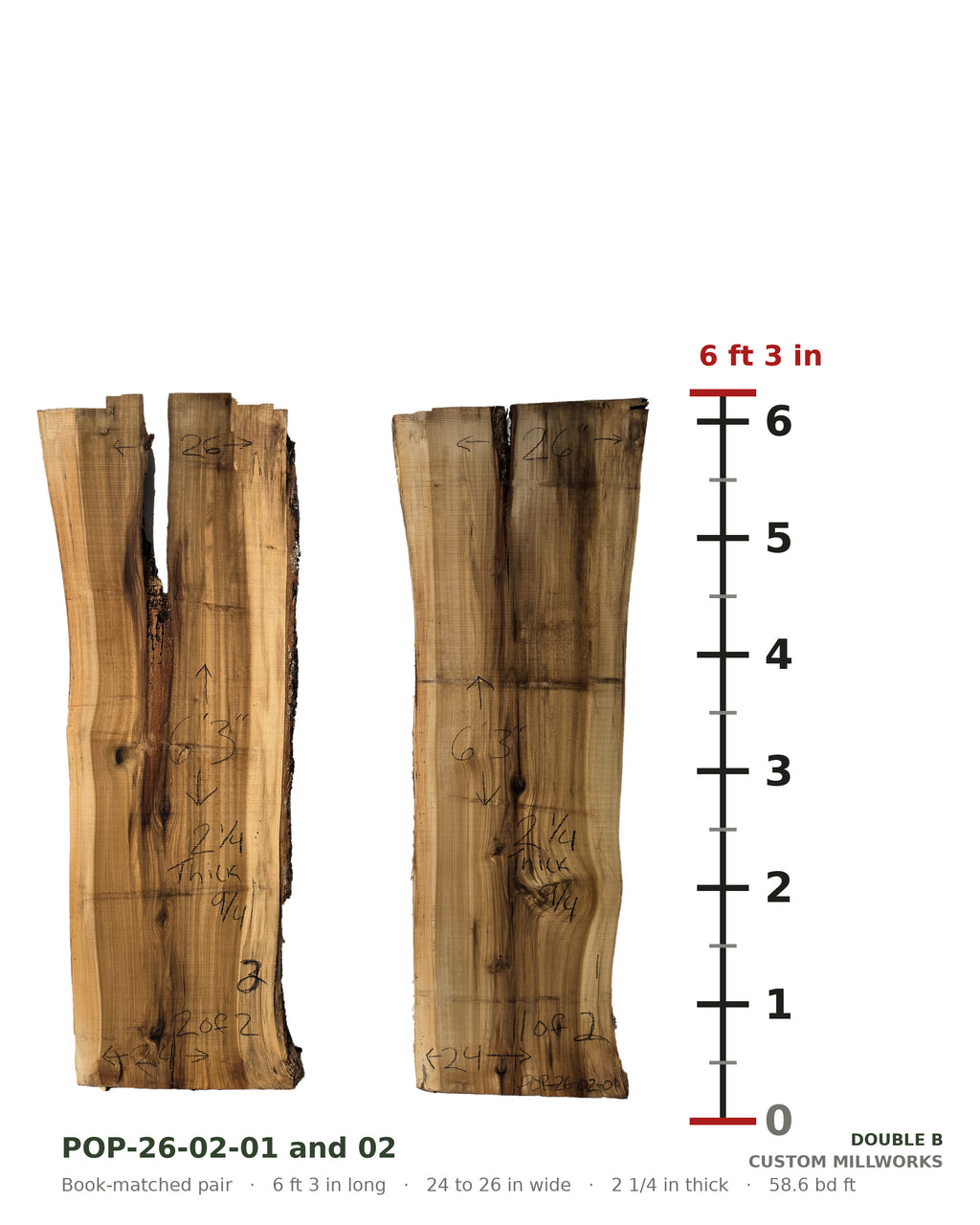 Tulip poplar book-matched live edge slab set POP-26-02-01 and 02 next to a length ruler, each slab 6 ft 3 in long, 24 to 26 in wide, 2 1/4 in thick, 58.6 board feet for the pair