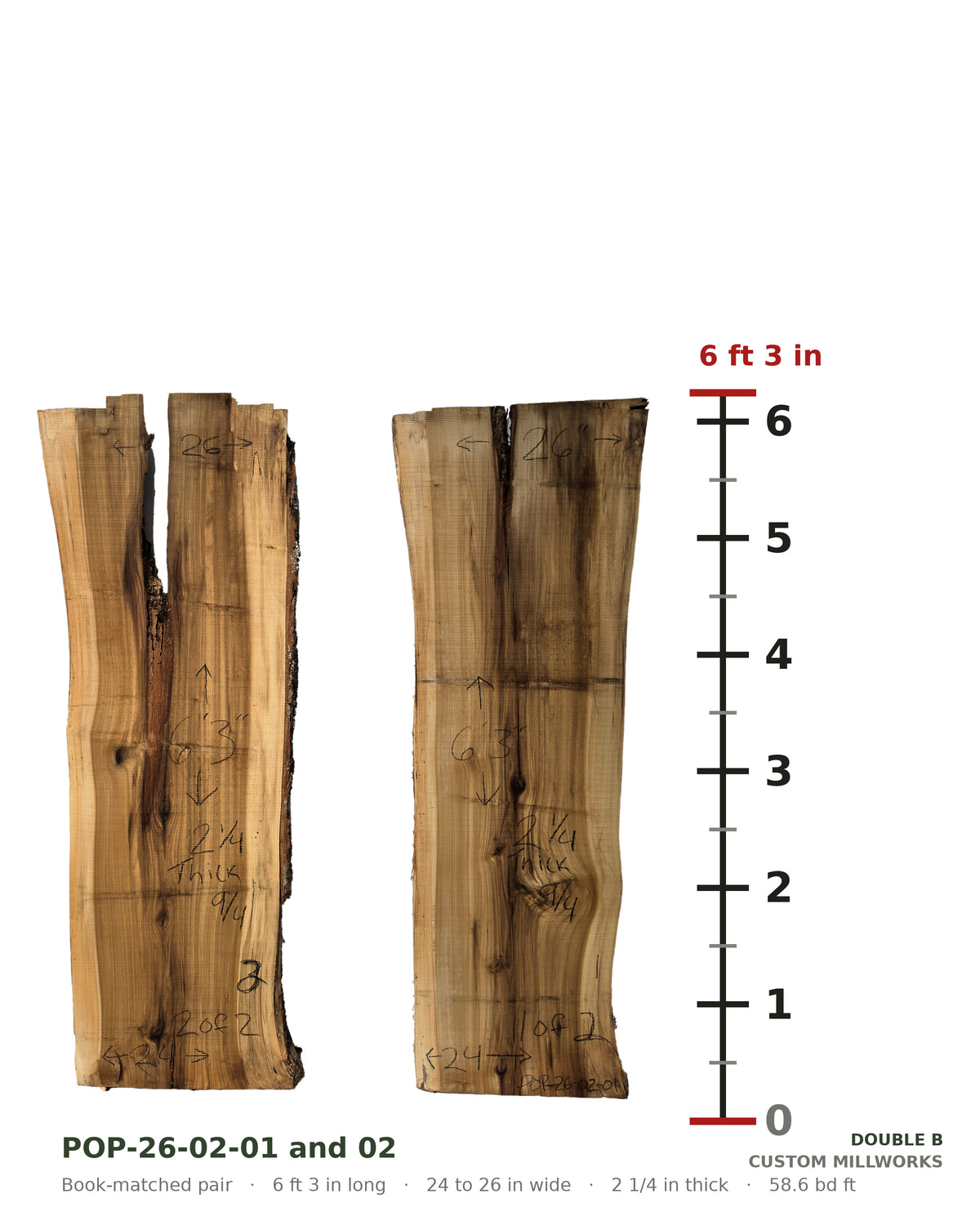 Tulip poplar book-matched live edge slab set POP-26-02-01 and 02 next to a length ruler, each slab 6 ft 3 in long, 24 to 26 in wide, 2 1/4 in thick, 58.6 board feet for the pair