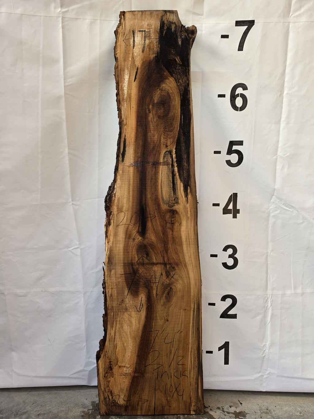 Tulip poplar live edge slab POP-26-03-03, 7 ft 4 in long, 17 to 24 in wide, 2 1/2 in thick, 31.3 board feet