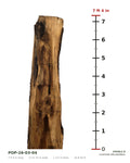 Tulip poplar live edge slab POP-26-03-04 next to a length ruler, 7 ft 4 in long, 17 to 24 in wide, 1 1/2 in thick, 18.8 board feet