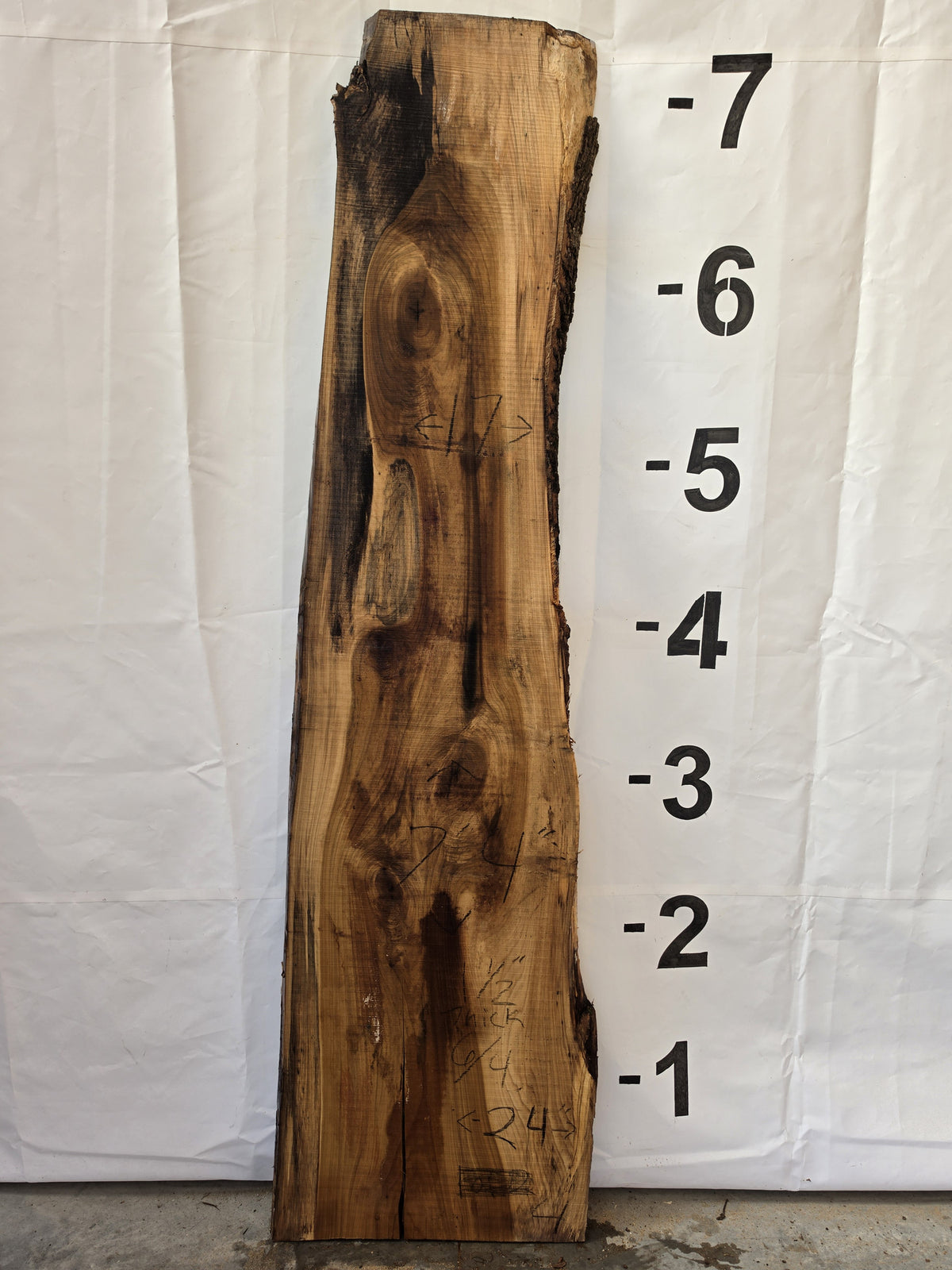 Tulip poplar live edge slab POP-26-03-04, 7 ft 4 in long, 17 to 24 in wide, 1 1/2 in thick, 18.8 board feet