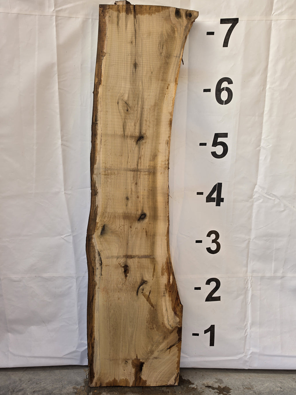 Back side of tulip poplar live edge slab POP-26-03-05