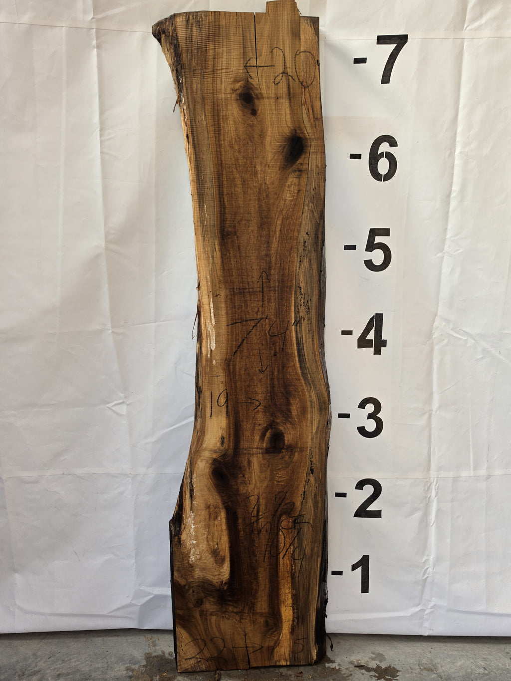 Tulip poplar live edge slab POP-26-03-05, 7 ft 4 in long, 19 to 22 in wide, 2 1/2 in thick, 31.3 board feet