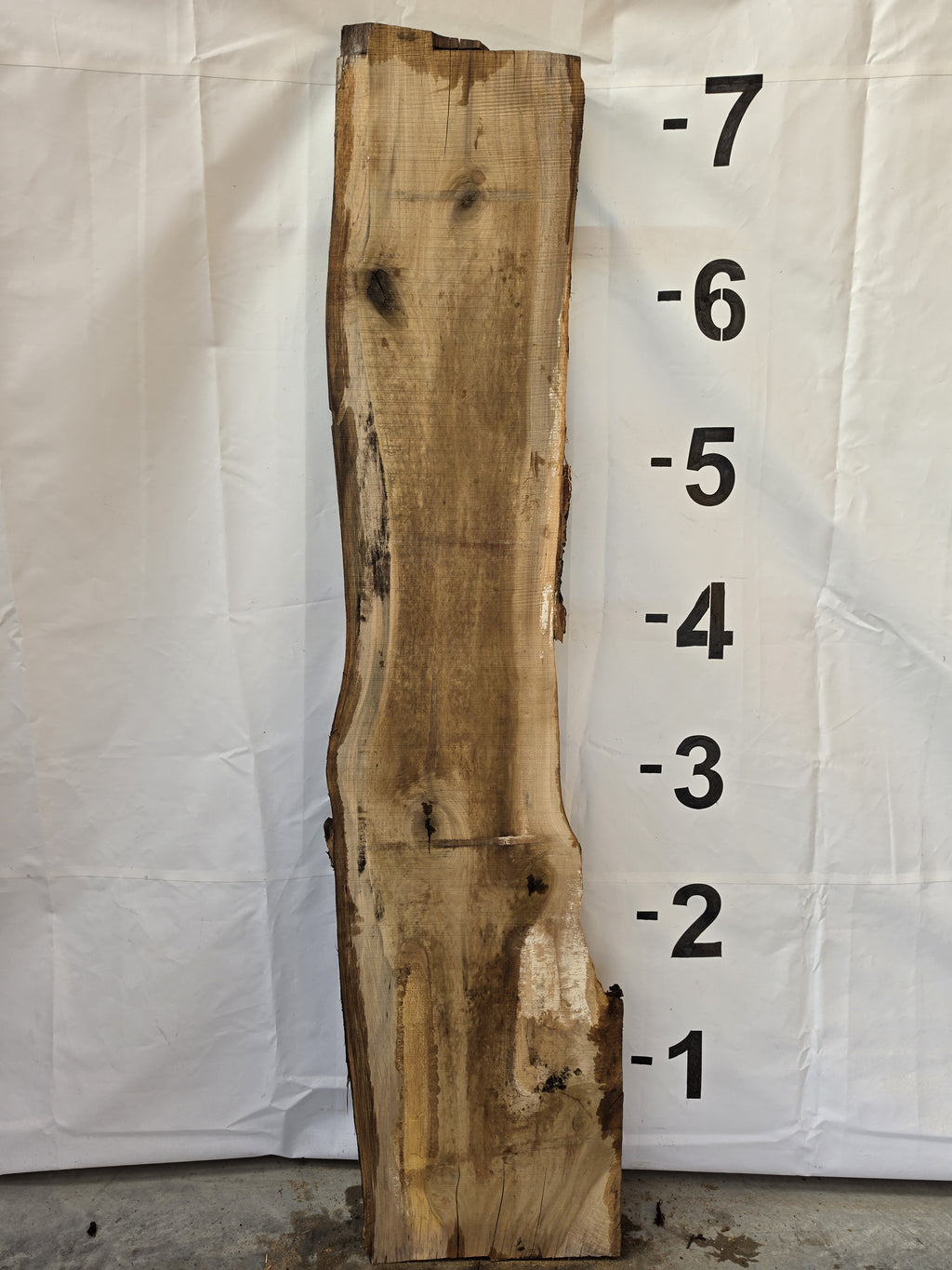 Back side of tulip poplar live edge slab POP-26-03-06