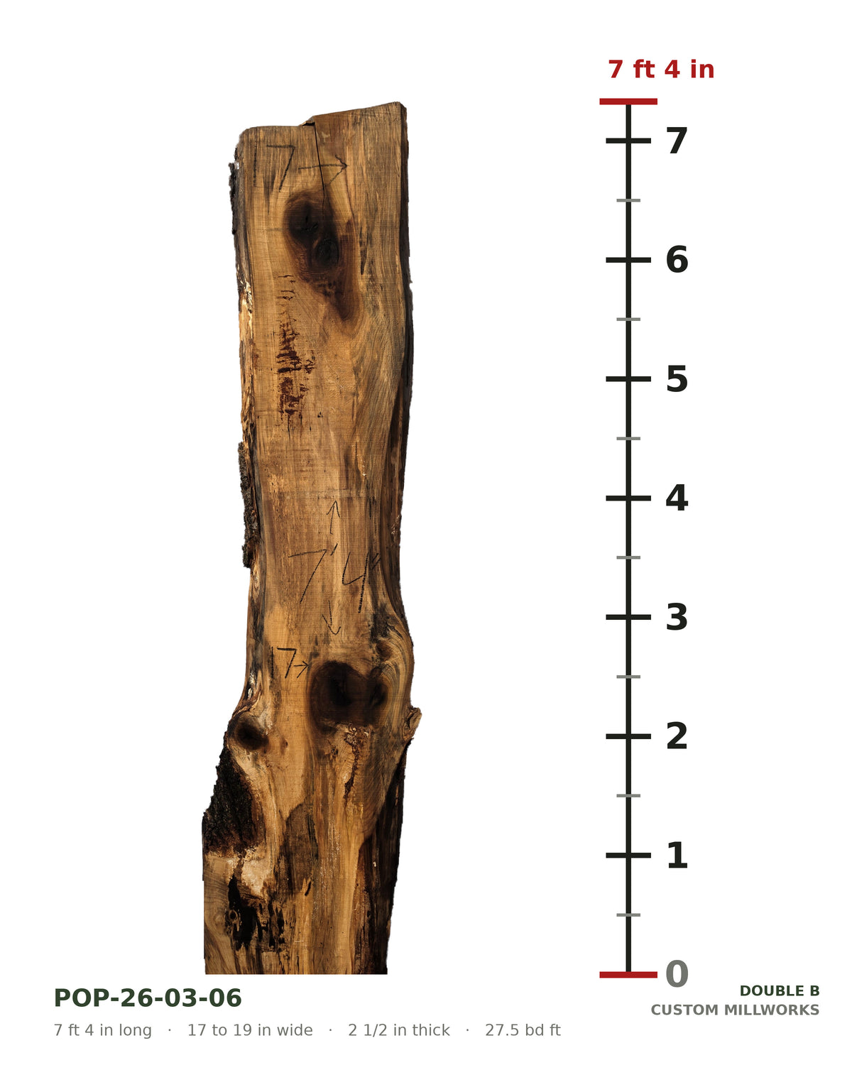 Tulip poplar live edge slab POP-26-03-06 next to a length ruler, 7 ft 4 in long, 17 to 19 in wide, 2 1/2 in thick, 27.5 board feet