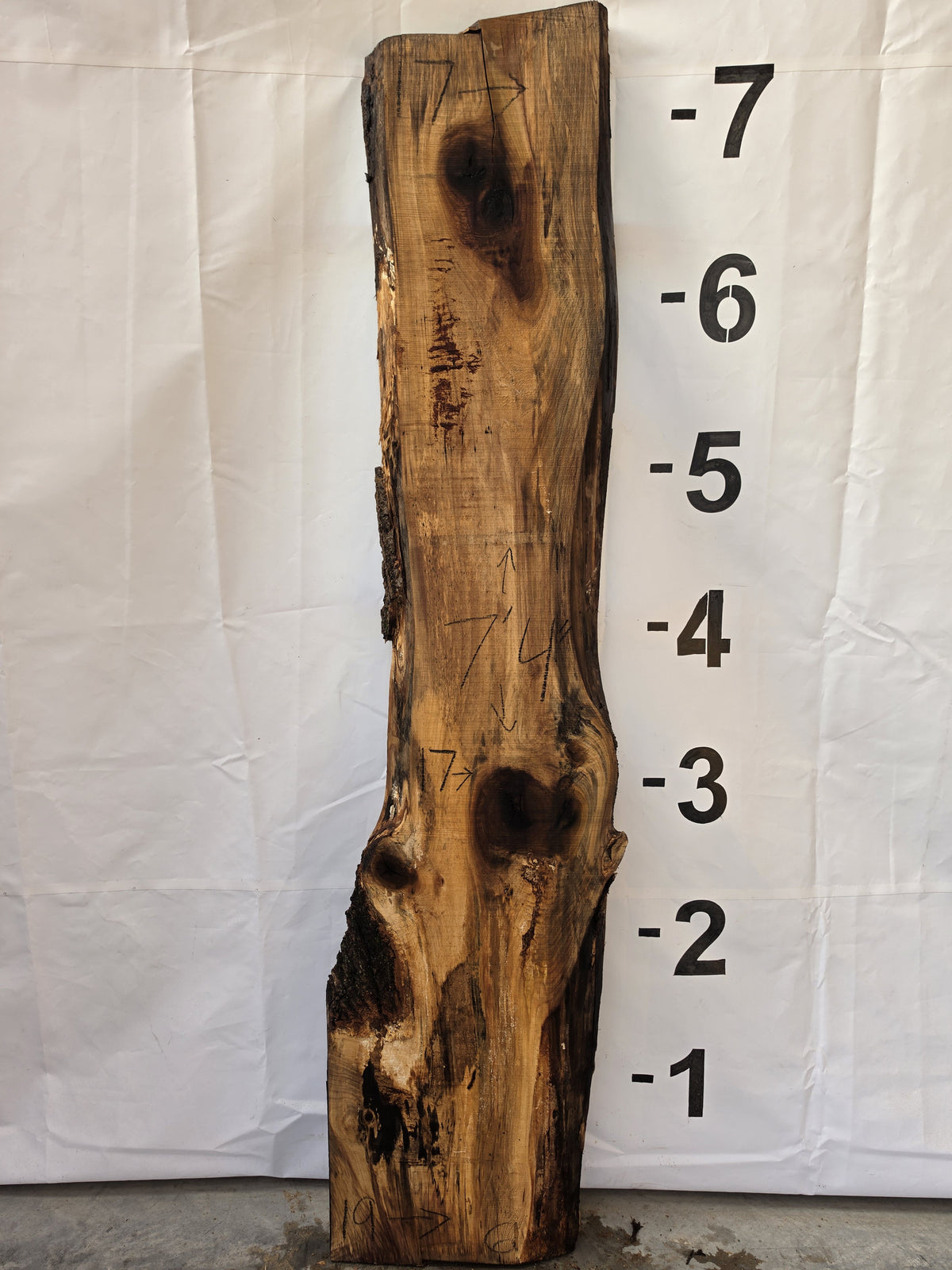 Tulip poplar live edge slab POP-26-03-06, 7 ft 4 in long, 17 to 19 in wide, 2 1/2 in thick, 27.5 board feet
