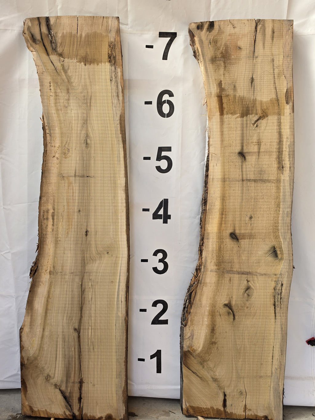 Back side of tulip poplar book-matched live edge slab set POP-26-03-01 and 02