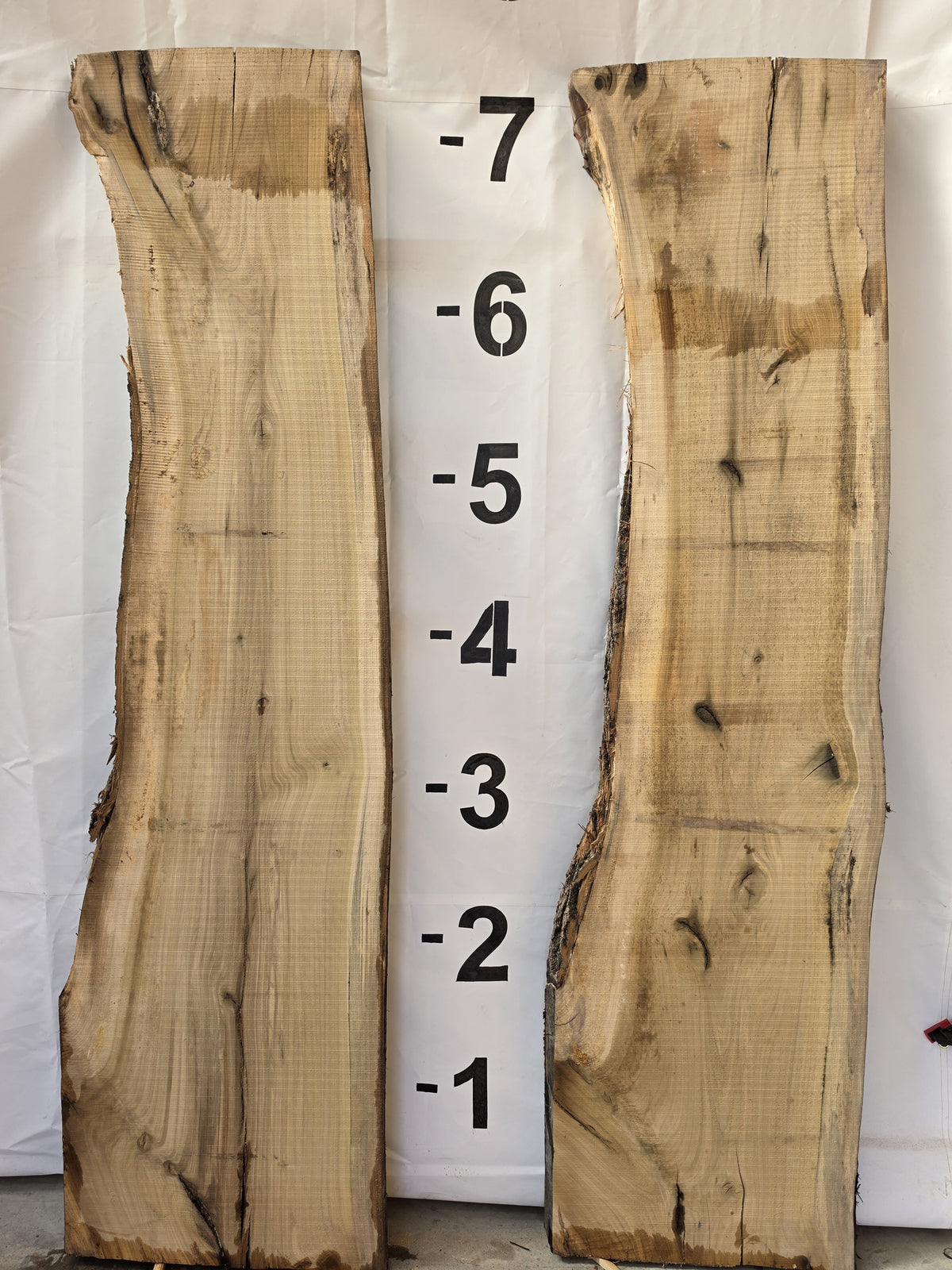 Back side of tulip poplar book-matched live edge slab set POP-26-03-01 and 02