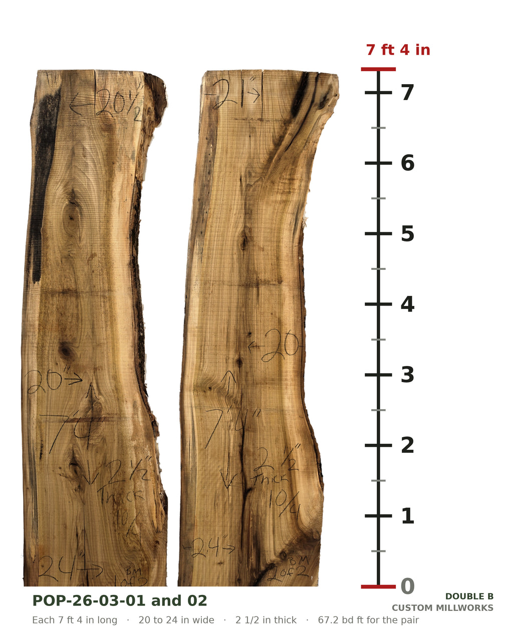 Tulip poplar book-matched live edge slab set POP-26-03-01 and 02 next to a length ruler, each slab 7 ft 4 in long, 20 to 24 in wide, 2 1/2 in thick, 67.2 board feet for the pair